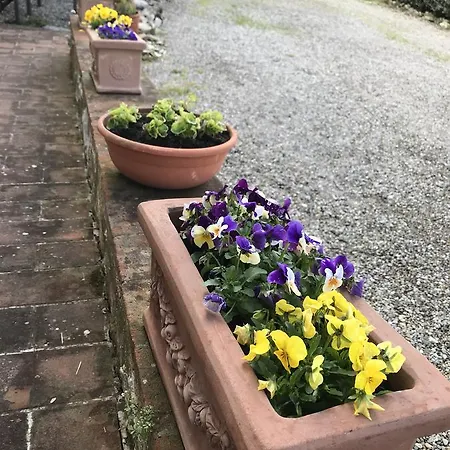 Residenzia Del Sogno Frühstückspension 3*
