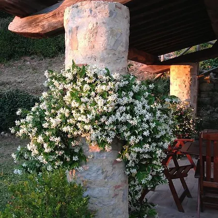 Bed & Breakfast Residenzia Del Sogno
