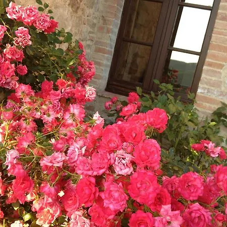 Residenzia Del Sogno Castellina in Chianti